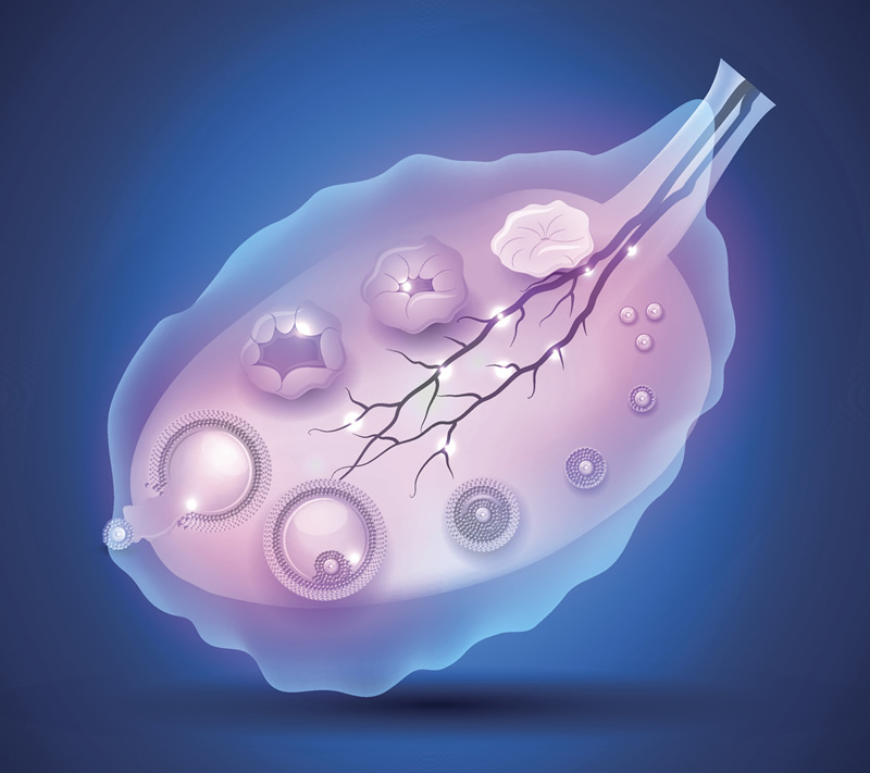 2026年权威发布!国内试管助孕机构排名更新汇总,揭秘成功率与口碑双优选择